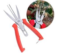 Acier Inoxydable Forge Pommier Poirier Ciseaux Double Bouche Ciseaux Jardinage Coupe Ciseaux élagage Outils