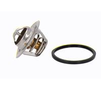 ACKOJA A52-99-0011 Thermostat d'eau