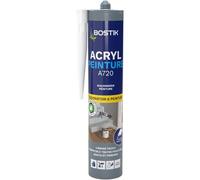 Acryl Peinture-Mastic Acrylique-Intérieur-Spécial Peinture,Calfeutreutement Et Fissures-Tous Matériaux-Blanc-Cartouche 310 Ml