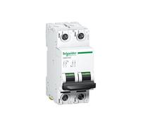 APC Schneider Schneider Electric Interrupteur LS 2P 6A C C60H-DC A9N61526