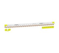 Schneider Electric A9XPC624 Rail de phase 1 pc(s)