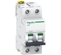 Schneider Electric – Disjoncteur Acti9 iC60N A9F77206 2P 6A Courbe C