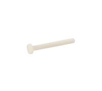 ACTON 80000 - Boulon tête hexagonale nylon 6,6 - 4 x 20 mm - Boîte 200