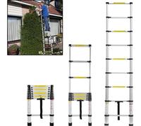 ACXIN Echelle télescopique 2,6M, échelle polyvalente en aluminium, capacité de charge 150 kg/330 livres, échelle télescopique en aluminium pour toit d'escalade/travaux de construction (argent+noir)
