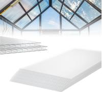 ACXIN Polycarbonate alvéolaire Plaques de remplacement pour serres horticoles Carports, résistantes aux UV, 14 pièces, 1210 x 605 x 4mm