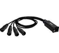Adam Hall K4CATBOXXM3 audio, DMX, XLR Adaptateur [1x RJ45 - 4x XLR mâle 3 pôles] 0.3 m