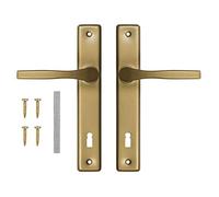 ADGO Lot de poignées de porte pour serrure à clé 72 gauche et droite - En aluminium et acier galvanisé - Une poignée pour une serrure étroite sur une longue assiette peinte (doré)