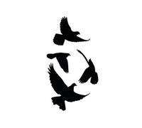 Adhésifs de vitres Oiseaux NOIR G