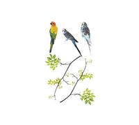 Adhésifs de vitres Oiseaux