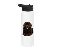 Adorable amoureux des chiens de Terre-Neuve brun Stainless Steel Insulated Water Bottle