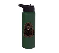 Adorable amoureux des chiens de Terre-Neuve brun Stainless Steel Insulated Water Bottle