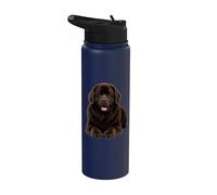 Adorable amoureux des chiens de Terre-Neuve brun Stainless Steel Insulated Water Bottle