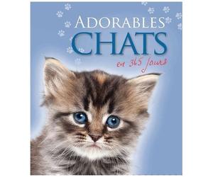 Adorables Chats En 365 Jours