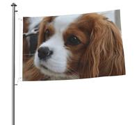 Adorables mâts de drapeau de jardin personnalisés avec motif Cavalier King Charles Spaniel, drapeaux de 90 x 60 cm avec œillets