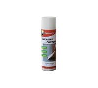 Décapant peinture - haute performance - aspect mousse - aérosol 500 ml DALEP