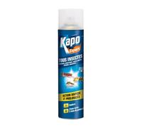 Aérosol tous insectes 300 ml