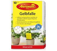 Aeroxon By BSI - Pièges Collants Jaunes - Pour Protèger Les Plantes d'Intérieur - Des Insectes Volants - Non Toxique - 10 Pièces, Jaune, 17.4 cm