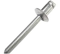 AERZETIX - C48303 - Lot de 10 Rivets Aveugles Standard Ø6x8mm à Tête Plate en Acier Inox A2 - DIN 7337 A - Rivet Pop à Rupture de Tige