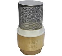 AERZETIX - C53426 - Clapet anti-retour - Ø1 1/2'' pouces - Crépine monobloc d'aspiration - Clapet de pied - Vanne non retour - en laiton