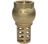 AERZETIX - C53434 - Clapet anti-retour avec crépine monobloc - 3/4'' pouces - Clapet de pied - Vanne non retour - en Laiton