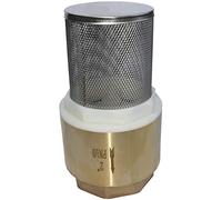 AERZETIX - Clapet Anti-Retour - C53425 - Ø2'' Pouces - Crépine Monobloc d'Aspiration - Clapet de Pied - Vanne Non Retour - en Laiton