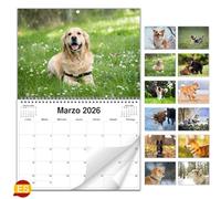 AEYAKA Calendrier Mural Chiens 2026 - Photos de Chiens Adorables, Format A3 Ouvert, Organiseur Familial et de Bureau,Idéal pour les Amoureux Espagnol