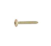 AFB3106035 Vis Torx pour charnières 6x35 mm boîte de 200