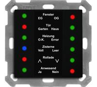 Affichage LED MDT KNX, 55, noir mat, 1 pièce.