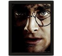 AFFICHE 3D CARÊME HARRY POTTER VOLDEMORT - GADGETS