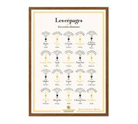 Affiche 50x70 cm - Les Cépages et leurs arômes dominants - LA CARTE DES VINS SVP