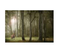 Affiche Daim en forêt - 60x40cm - made in France
