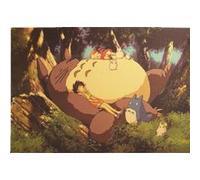 Affiche de film japonais Totoro Mon voisin Hayao Miyazaki Sticker mural Anime - 50,5 x 35 cm (Style 38) G