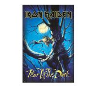 Grupo Erik - Poster Iron Maiden Fear Of The Dark - Deco Maison, Decoration Murale, Affiche Décorative
