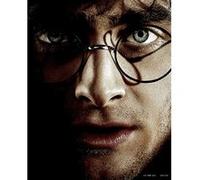 Affiche - Harry Potter - Harry Vs Voldemort -Effet 3D - 20,3x25,4cm G