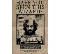 Affiche - Harry Potter - Have You Seen This Wizard? - 61x91,5cm G