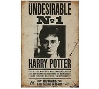 Affiche - Harry Potter - Undesirable No. 1 - 61x91,5cm G