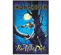 Affiche - Grupo Erik - Fear of the Dark - 61x91 5cm - Décoration murale - Papier de qualité