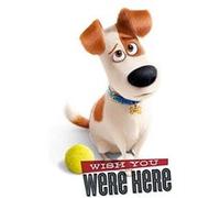 Affiche Maxi Comme des bêtes Wish you were Here 61 x 91,5 cm G