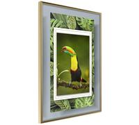 Affiche Murale Encadrée Toucan in the Frame 30 x 42 cm Or