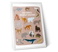 Affiche nature - 18 animaux à protéger