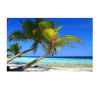 Affiche paysage cocotier paradise - 60x40cm - made in France