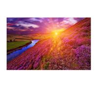 Affiche paysage islande montagne fleuri , 60x40cm - made in France