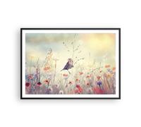 Affiche Poster 100x70cm Tableaux Image Photo Oiseau Sanglier Prairie Wall Art