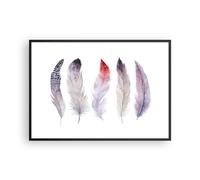 Affiche Poster 100x70cm Tableaux Image Photo Plume Animal Oiseau composition Art