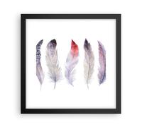 Affiche Poster 30x30cm Tableaux Image Photo Plume Animal Oiseau composition Art