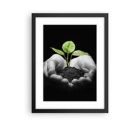 Affiche Poster 30x40cm Tableaux Image Nature plante science protection Wall Art