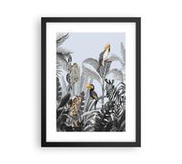 Affiche Poster 30x40cm Tableaux Image Photo Jungle Animaux Toucans Wall Art