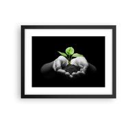 Affiche Poster 40x30cm Tableaux Image Photo Nature plante science protection Art