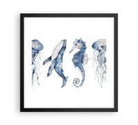 Affiche Poster 40x40cm Tableaux Image Photo Animaux Marine Enfants Wall Art