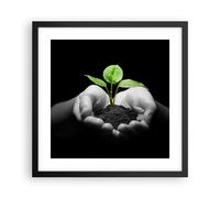 Affiche Poster 40x40cm Tableaux Image Photo Nature plante science protection Art